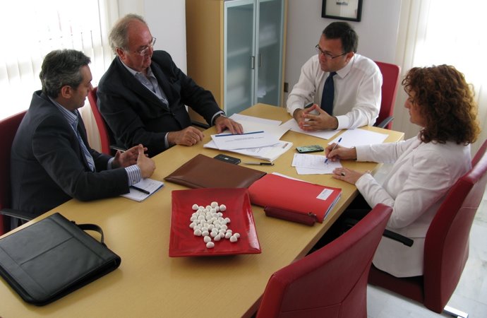 Heredia y Serrano se reúnen con Barroso Aprean energía fotovoltaica renovables