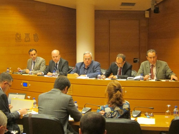 Buch en la Comisión de Industria de las Corts