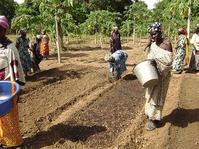 MPDL lleva a cabo acciones para terminar con el hambre en países centroafricanos