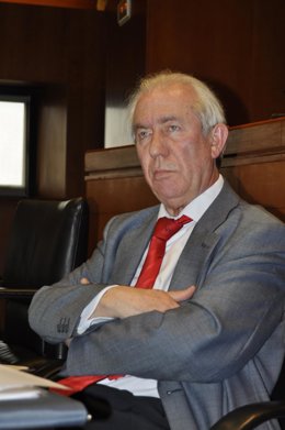 El consejero de Economía y Empleo, Francisco Bono