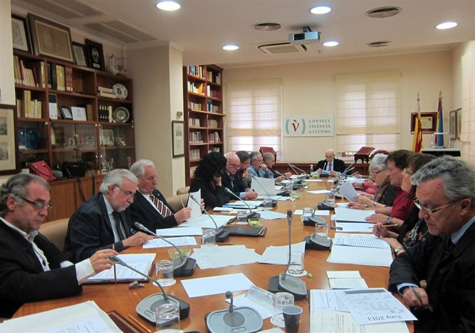 Pleno del CVC (27-05-2013)