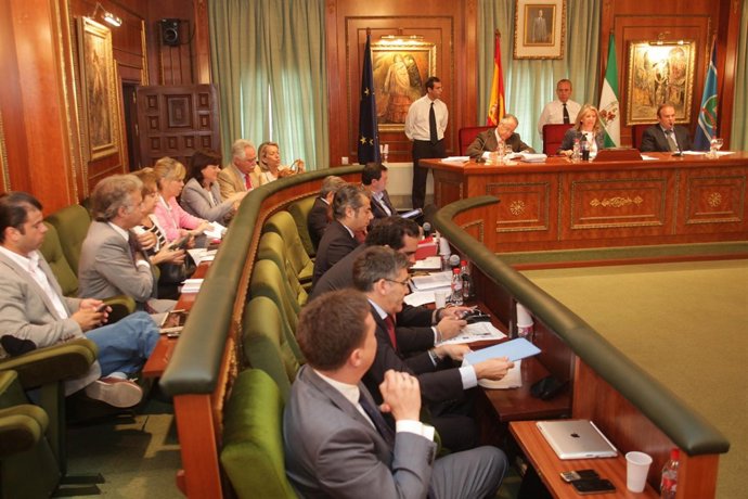 Pleno del ayuntamuietno de marbella