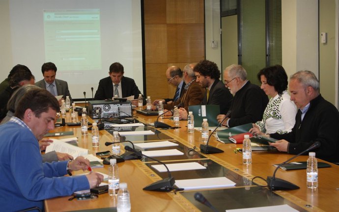 Imagen de la reunión del Consejo