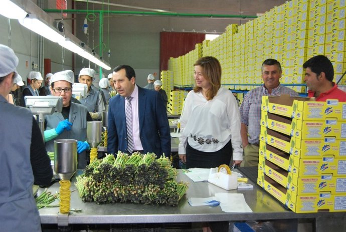 Ruiz Espejo en empresa de espárragos