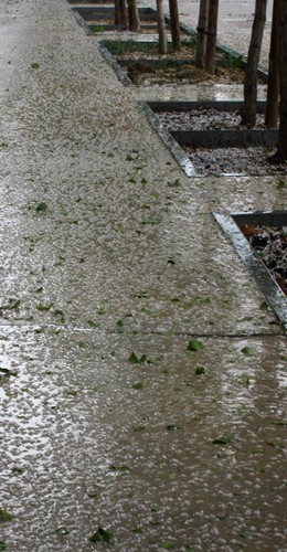 Granizo, Granizada, Tormenta