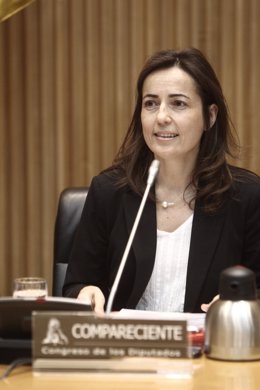 Directora de la DGT, María Seguí