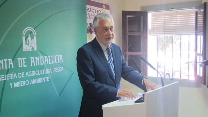 El presidente de la Junta de Andalucía, José Antonio Griñán.