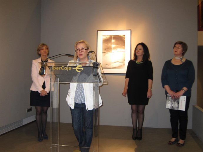 Columna Villarroya expone 'Del Agua' en el Museo Ibercaja Camón Aznar