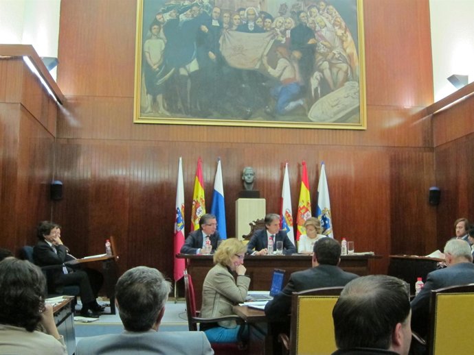 Pleno del día 29 de mayo de 2013