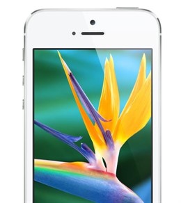 Pantalla iPhone 5