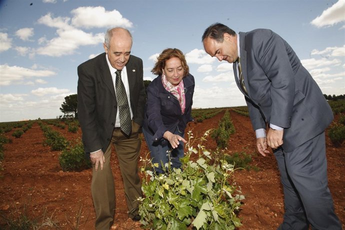 Soriano en Villarobledo Albacete