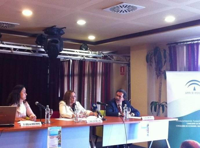 La vicepresidenta de la Diputación, María Luisa Faneca. 