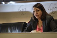 El PSOE ve "decepcionante" la alegría del Gobierno con el análisis de la CE