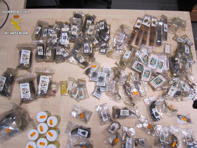 Partes de animales disecadas incautadas en Barcelona