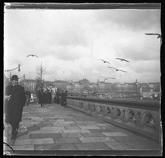 Colección Ángel de la Mora 