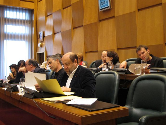 José Manuel Alonso (IU) y Juan Martín (CHA)