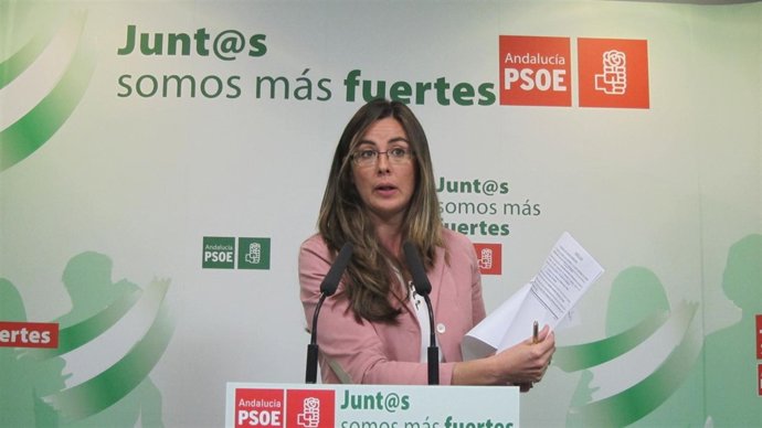 La diputada nacional socialista María José Rodríguez.