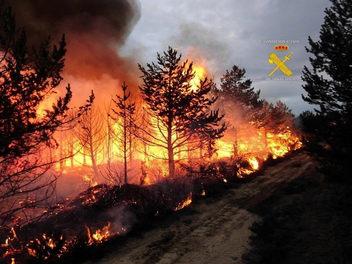 En la imagen, incendio registrado en Valdefresno el pasado día 14 de mayo