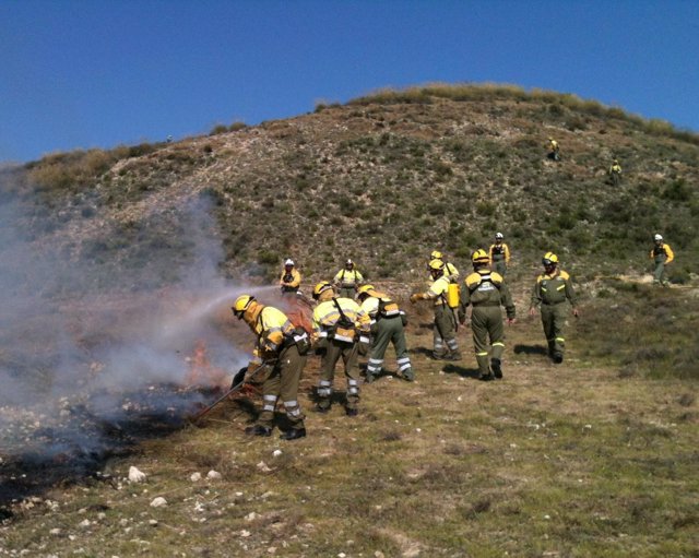 Efectivos en la lucha contra el fuego participan en ejercicio práctico
