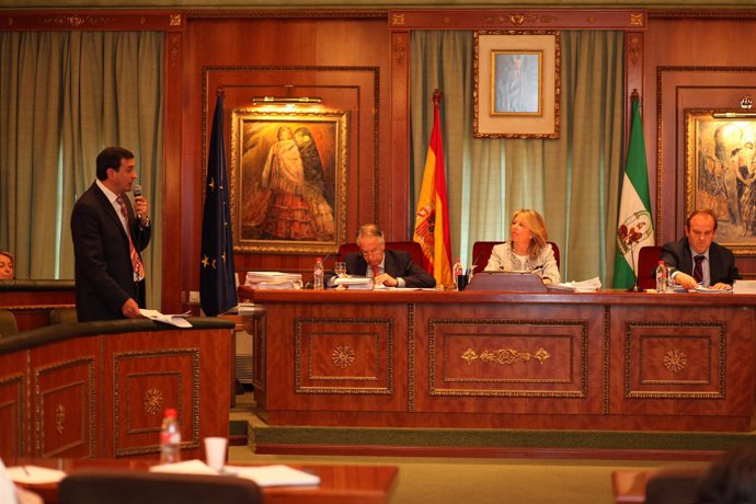 Angeles Muñoz en el pleno del Ayuntamiento de Marbella