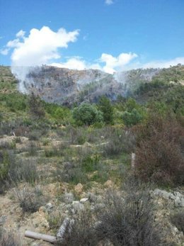 Incendio forestal en Domeño, en imagen de archivo.