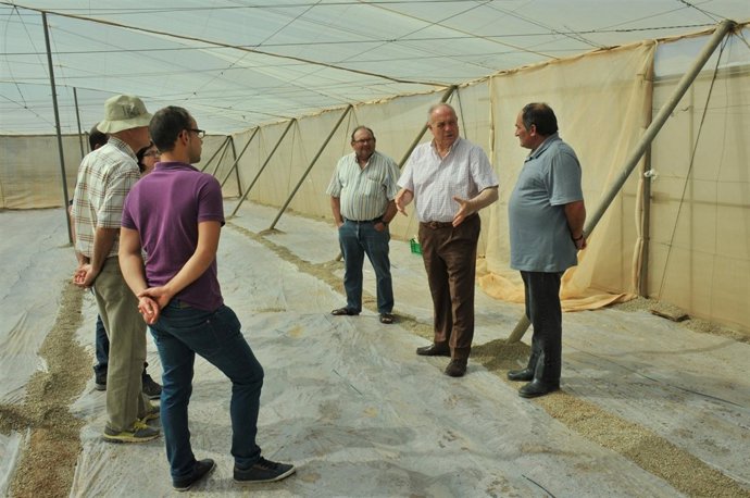El director general de Industria Agroalimentaria y Capacitación Agraria