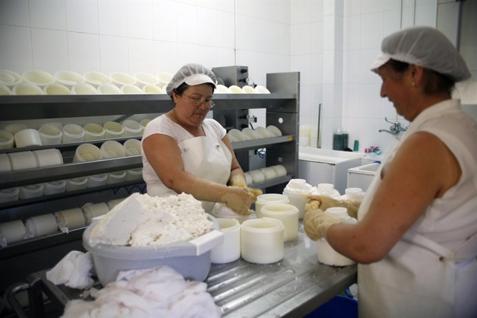 Elaboración artesantal del queso