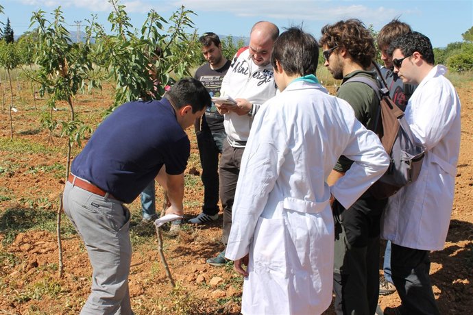 Alumnos de la UIB en la finca de Sa Granja, en Palma