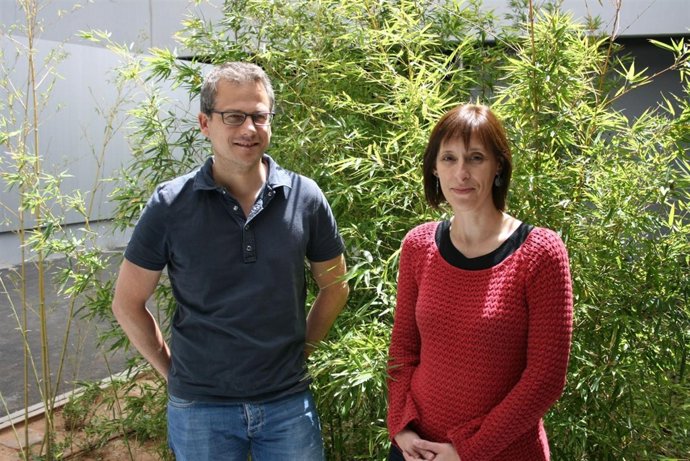 La investigadora de la UV Carmen Gabaldón 