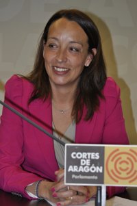 Susín (PP) lamenta que el PSOE haga del nuevo hospital de Alcañiz "un campo de batalla"