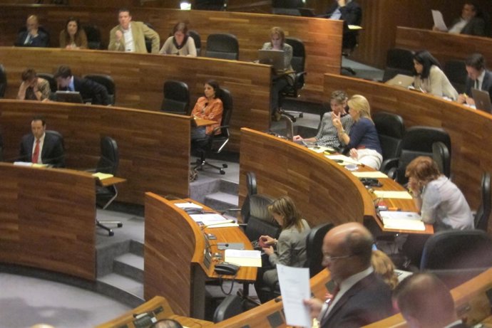 Pleno de la Junta General