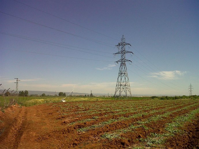Línea eléctrica entre Brenes y San José de La Rinconada.