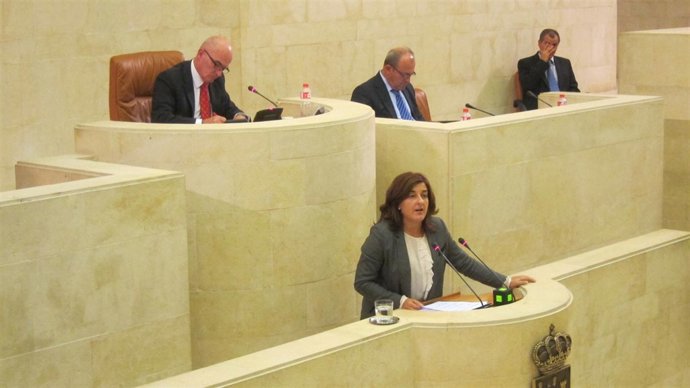 Pleno Sáenz de Buruaga