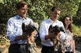 Company sostiene una cria de águila