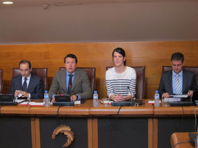 Serna en la Comisión de Educación del Parlamento