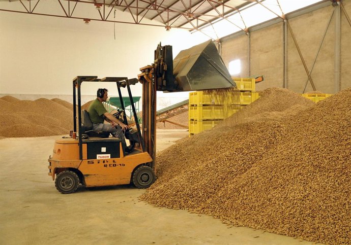 Almendra en La Vega de Pliego