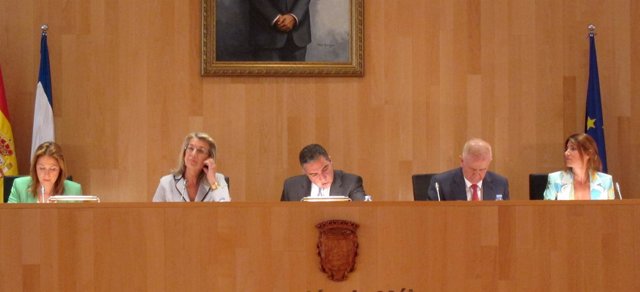 Pleno Diputación de Málaga