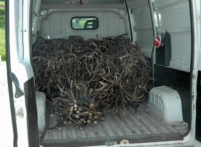 Desmogues localizados en una furgoneta de una empresa de Porzuna.