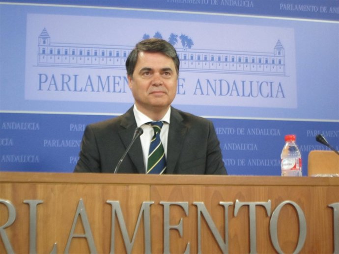 El portavoz del Grupo Parlamentario Popular, Carlos Rojas, hoy en rueda de prens