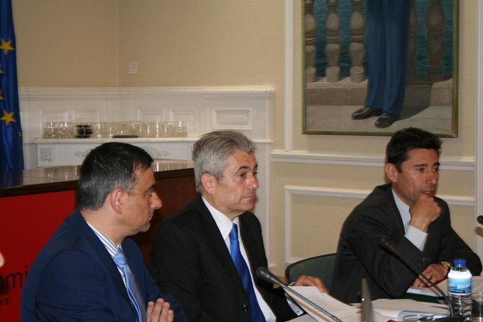 Registro de Economistas Asesores Fiscales REAF