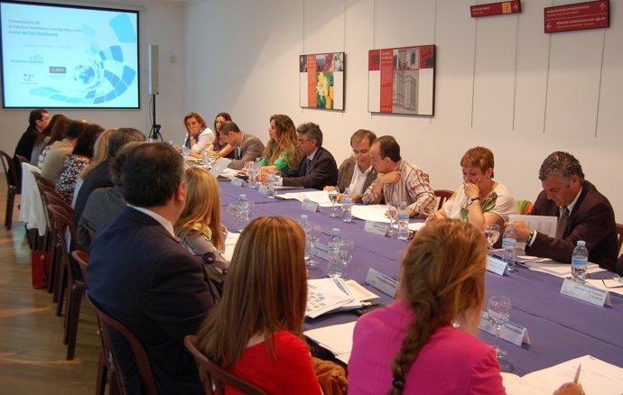 Reunión junio consorcio plan qualifica málaga costa del sol turismo