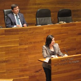 María Jesús Álvarez, durante su intervención en el Pleno