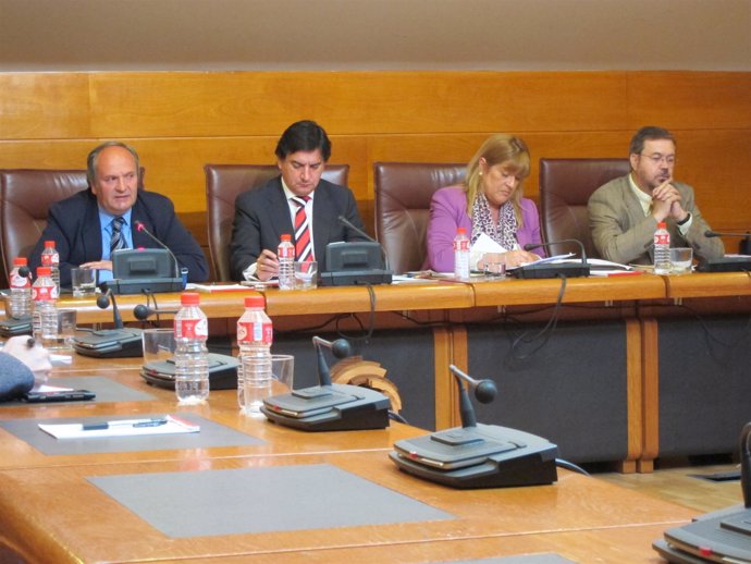 Javier Fernández en Comisión Medio Ambiente Parlamento