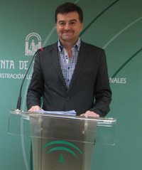 Antonio Maíllo acepta ante el Consejo Andaluz de IULV-CA ser "el candidato de la mayoría" en la próxima Asamblea