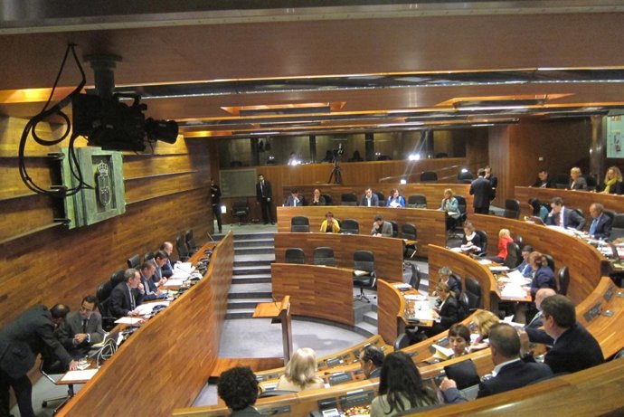 Pleno de la Junta General del Principado abril 2013