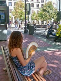 Sanidad activa Plan de Acciones Preventivas contra Efectos del Exceso de Temperaturas sobre la Salud para el verano