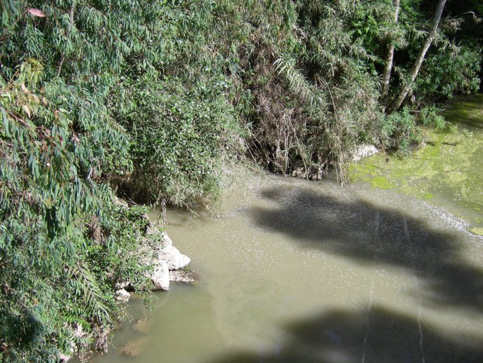 Vertido río Guadaíra
