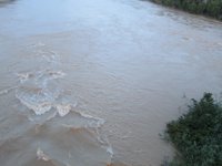 La crecida del Ebro a su paso por Boquiñeni anega unas 400 hectáreas de cultivos