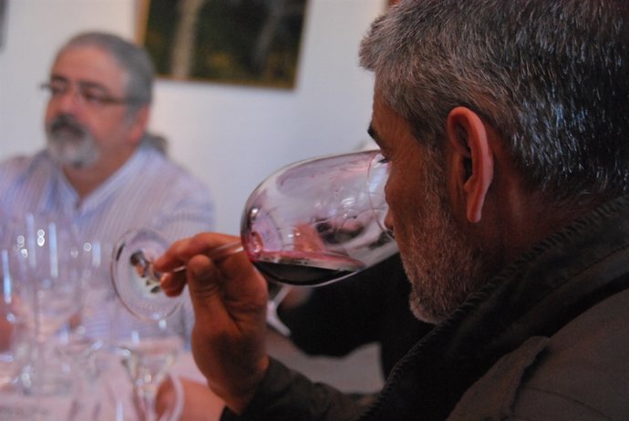 Cata De Vinos