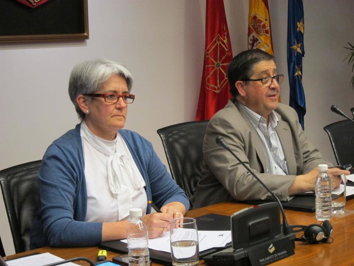 La consejera Goicoechea en comisión parlamentaria